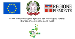 FEASR - Fondo europeo agricolo per lo sviluppo rurale l’Europa investe nelle zone rurali